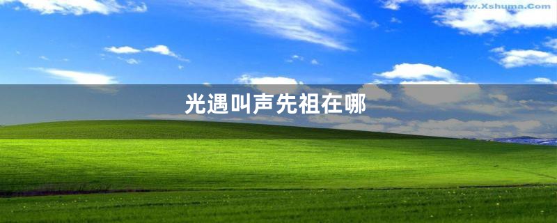 光遇叫声先祖在哪