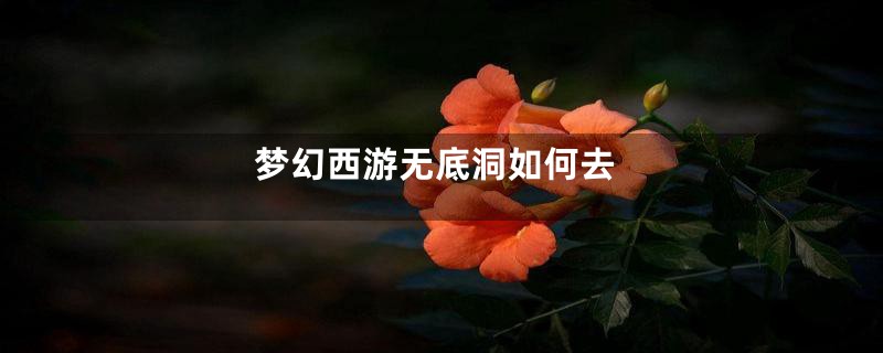 梦幻西游无底洞如何去
