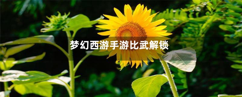 梦幻西游手游比武解锁