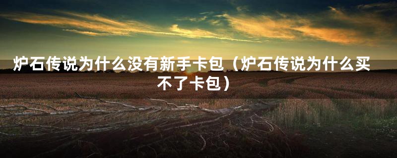炉石传说为什么没有新手卡包（炉石传说为什么买不了卡包）