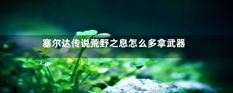 塞尔达传说荒野之息怎么多拿武器