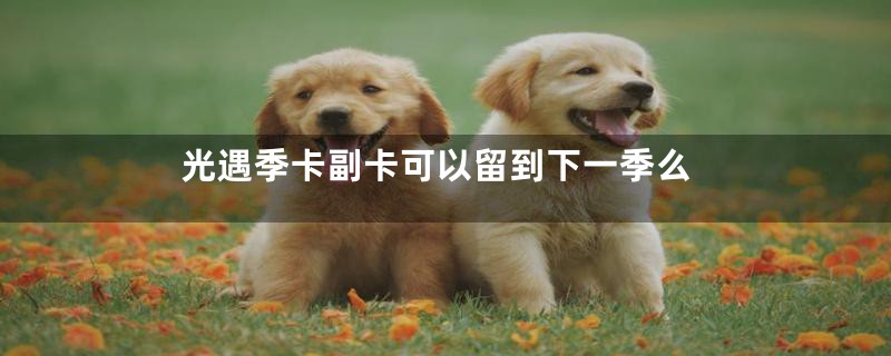 光遇季卡副卡可以留到下一季么