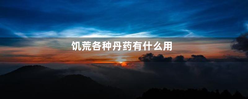 饥荒各种丹药有什么用