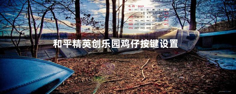 和平精英创乐园鸡仔按键设置