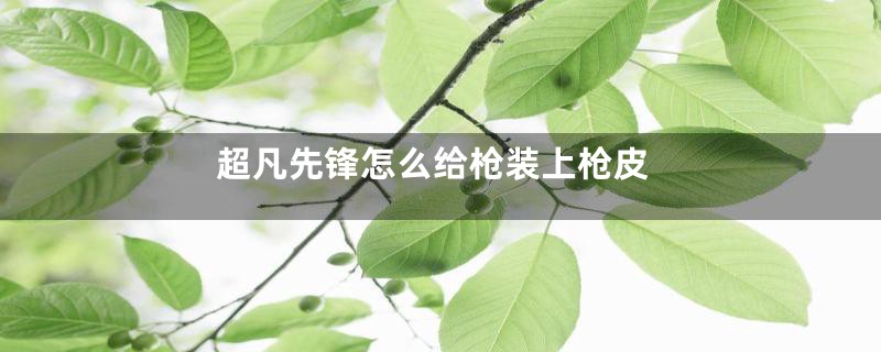 超凡先锋怎么给枪装上枪皮
