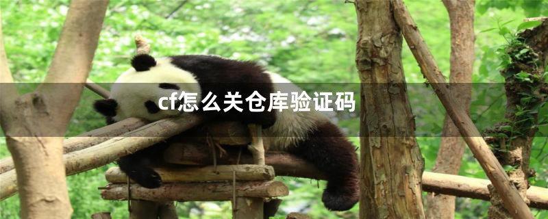 cf怎么关仓库验证码