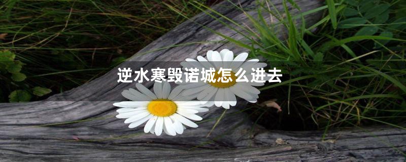 逆水寒毁诺城怎么进去