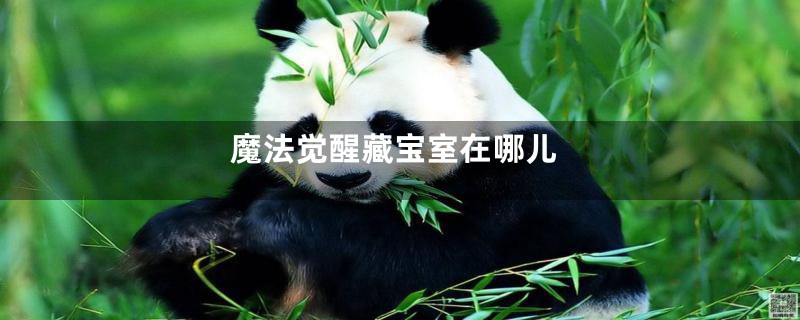 魔法觉醒藏宝室在哪儿