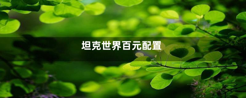 坦克世界百元配置