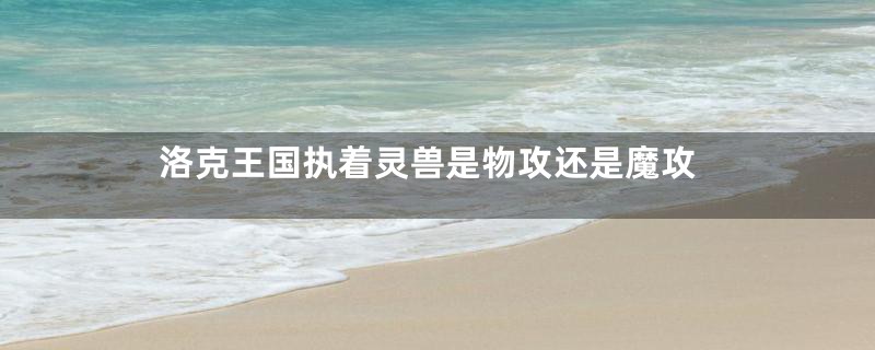 洛克王国执着灵兽是物攻还是魔攻