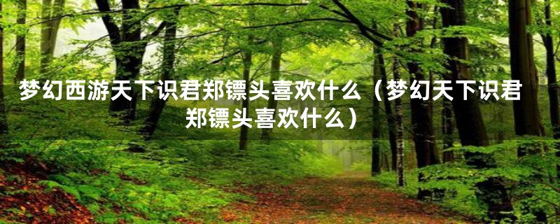 梦幻西游天下识君郑镖头喜欢什么（梦幻天下识君郑镖头喜欢什么）