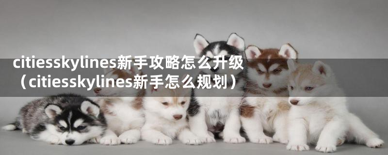 citiesskylines新手攻略怎么升级（citiesskylines新手怎么规划）