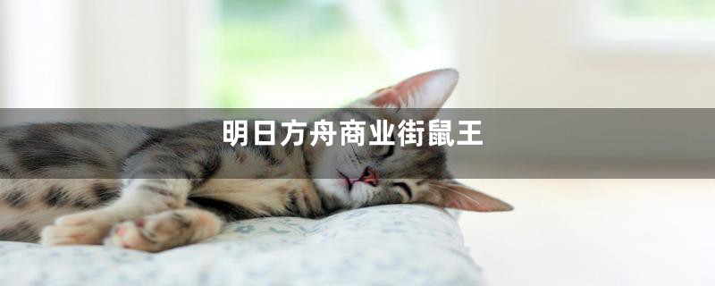 明日方舟商业街鼠王