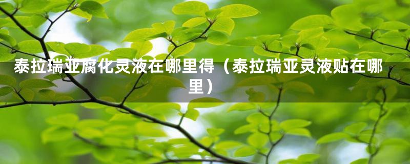泰拉瑞亚腐化灵液在哪里得（泰拉瑞亚灵液贴在哪里）