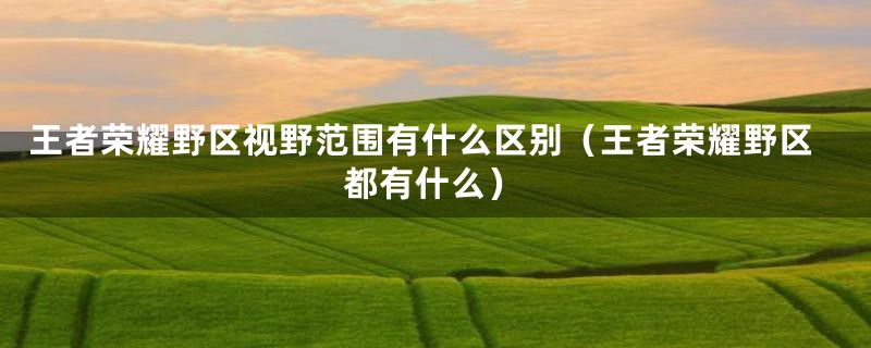 王者荣耀野区视野范围有什么区别（王者荣耀野区都有什么）