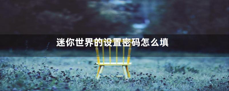 迷你世界的设置密码怎么填