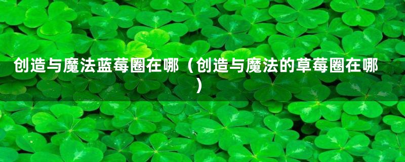 创造与魔法蓝莓圈在哪(创造与魔法的草莓圈在哪)