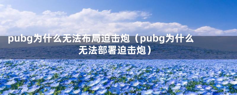 pubg为什么无法布局迫击炮（pubg为什么无法部署迫击炮）