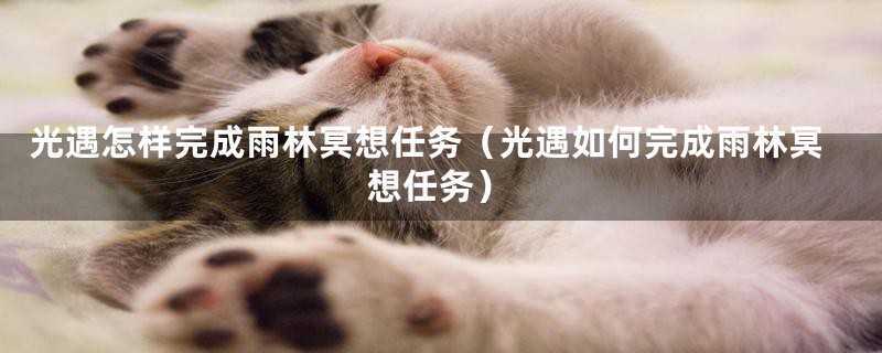 光遇怎样完成雨林冥想任务（光遇如何完成雨林冥想任务）