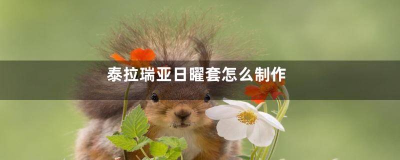 泰拉瑞亚日曜套怎么制作