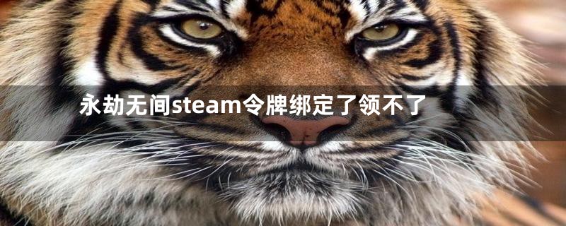 永劫无间steam令牌绑定了领不了