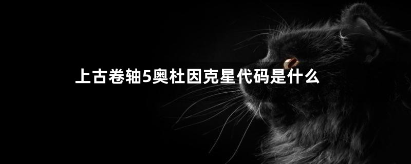 上古卷轴5奥杜因克星代码是什么