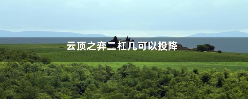 云顶之弈二杠几可以投降