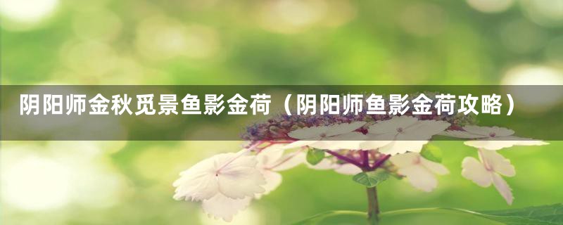 阴阳师金秋觅景鱼影金荷(阴阳师鱼影金荷攻略)