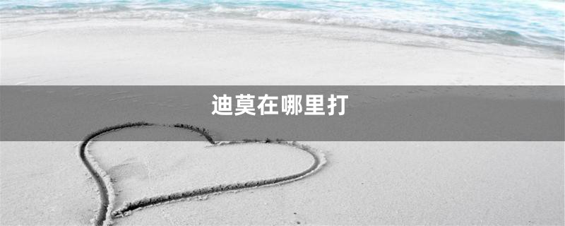 迪莫在哪里打