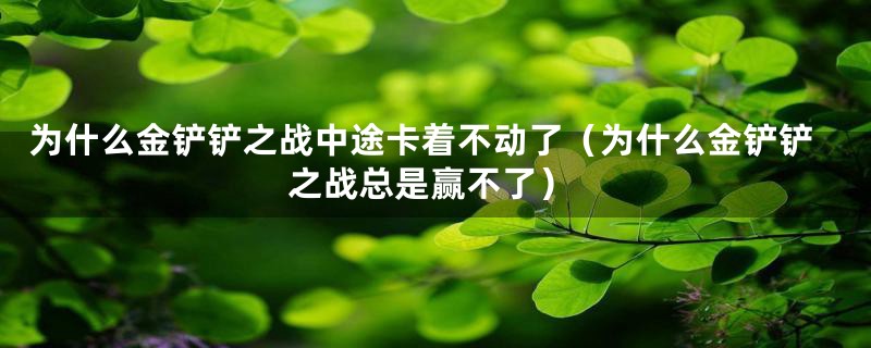 为什么金铲铲之战中途卡着不动了(为什么金铲铲之战总是赢不了)
