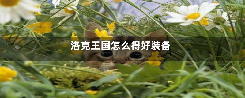 洛克王国怎么得好装备
