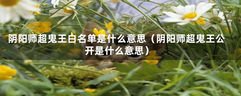 阴阳师超鬼王白名单是什么意思(阴阳师超鬼王公开是什么意思)