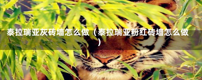 泰拉瑞亚灰砖墙怎么做(泰拉瑞亚粉红砖墙怎么做)
