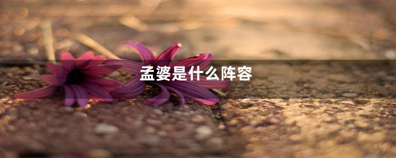孟婆是什么阵容