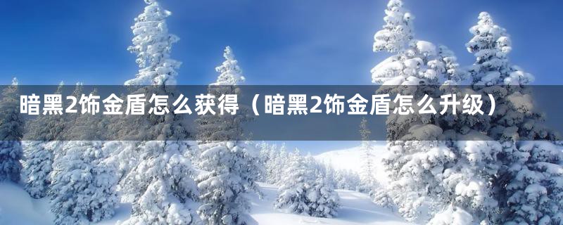 暗黑2饰金盾怎么获得(暗黑2饰金盾怎么升级)