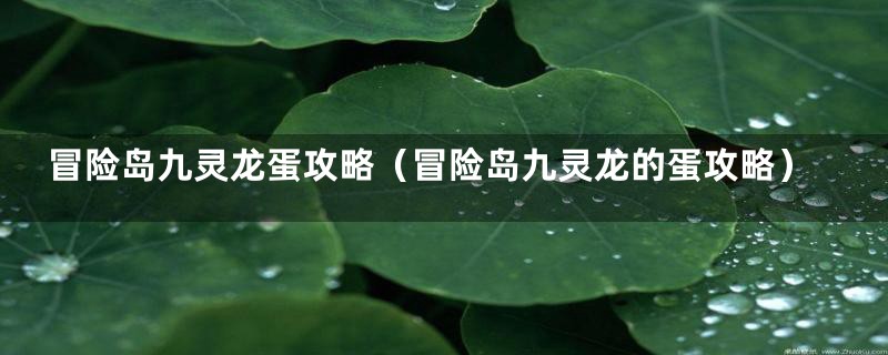 冒险岛九灵龙蛋攻略（冒险岛九灵龙的蛋攻略）