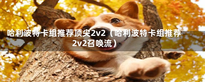 哈利波特卡组推荐顶尖2v2(哈利波特卡组推荐2v2召唤流)