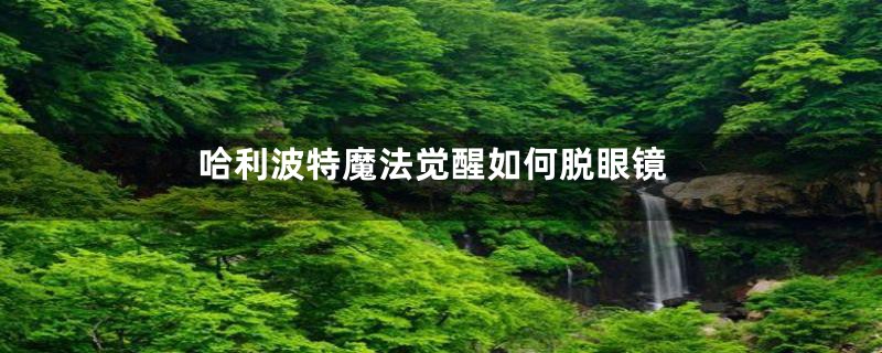 哈利波特魔法觉醒如何脱眼镜