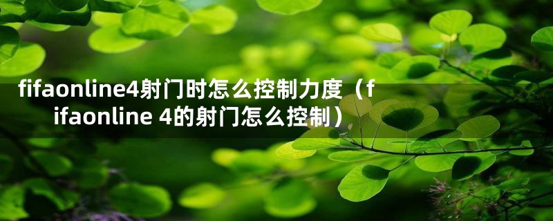 fifaonline4射门时怎么控制力度（fifaonline 4的射门怎么控制）