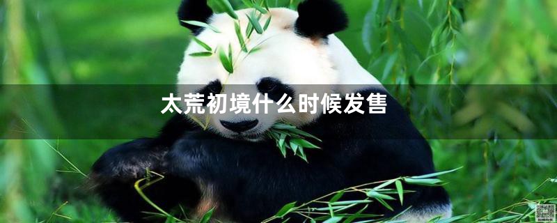 太荒初境什么时候发售