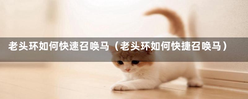 老头环如何快速召唤马（老头环如何快捷召唤马）