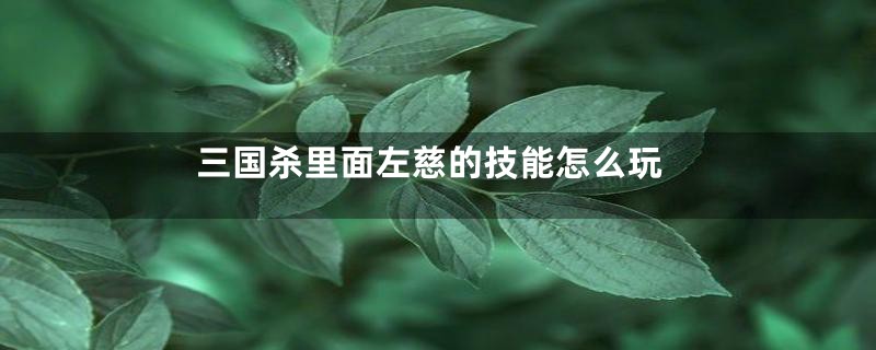 三国杀里面左慈的技能怎么玩