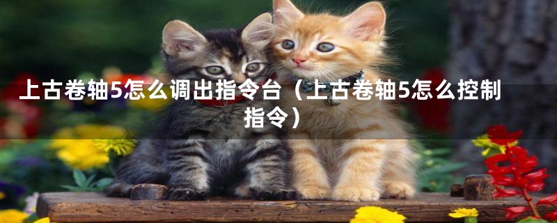 上古卷轴5怎么调出指令台（上古卷轴5怎么控制指令）