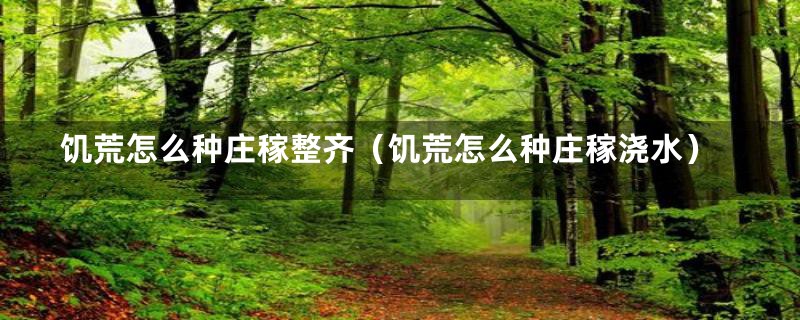 饥荒怎么种庄稼整齐（饥荒怎么种庄稼浇水）