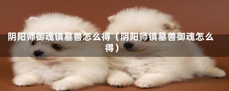 阴阳师御魂镇墓兽怎么得（阴阳师镇墓兽御魂怎么得）