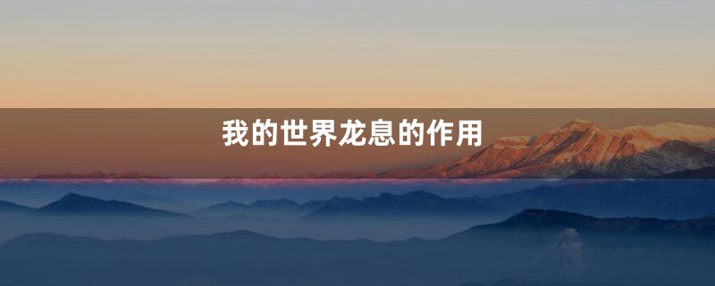 我的世界龙息的作用