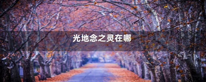 光地念之灵在哪