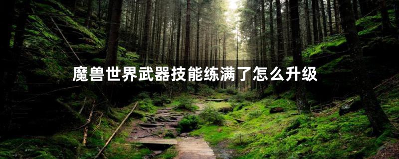 魔兽世界武器技能练满了怎么升级