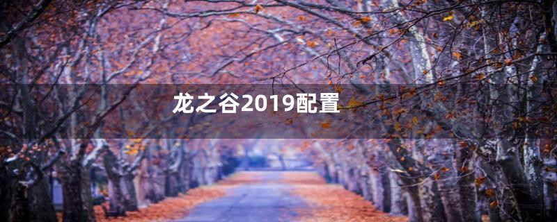 龙之谷2019配置