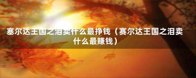 塞尔达王国之泪卖什么最挣钱(赛尔达王国之泪卖什么最赚钱)